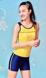????沙麗????MIT台灣製‧大女三件式泳裝/泳衣(M.L.XL) 23119【贈泳帽+胸墊+免運】 歷史價格詳細信息