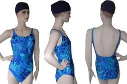 L號  加拿大 始祖鳥 Magnus GT 男 防風防水保暖外套-赫卡特藍 21734  特價23220 歷史價格詳細信息