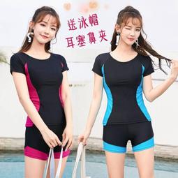 兩件式泳衣男款平角大尺碼男士泳衣套裝成人短袖上衣五分褲遊泳潛水服 歷史價格詳細信息