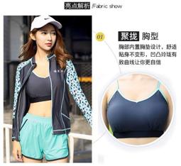 【拉福】比斯尼龍帆布男腰帶皮帶(可選色) 歷史價格詳細信息