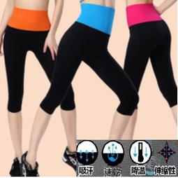 ALISA 健康小舖-S號 6吋 冰溫兩用袋 居家必備、運動健身  台灣製 歷史價格詳細信息