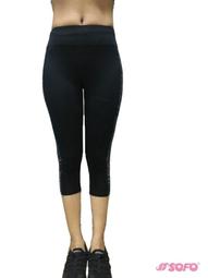 SOFO 嘸蝦米輸入法J 標準盒裝_GT【原廠公司貨】 歷史價格詳細信息