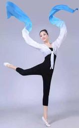 紅舞鞋成人幼兒童舞蹈鞋 女軟底爪練功鞋瑜伽鞋女帆布芭蕾舞鞋 歷史價格詳細信息