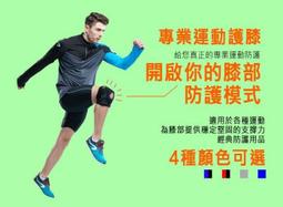 力大健康生活館~健身平衡板/核心平衡盤/穩定訓練器/腳踏協調板/瑜珈踏板/拉伸拉筋板/棒式訓練/階梯運動板/皮拉提斯 歷史價格詳細信息