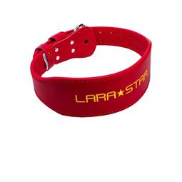 力量-重生之後/王薀 老師 著(H1) 歷史價格詳細信息