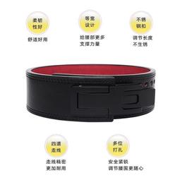 專業級重磅健身高拉力帶 - 強力止滑版 / 重訓助握帶 / 健身助力帶 / 拉力帶 / LEXPORTS 勵動風潮 歷史價格詳細信息