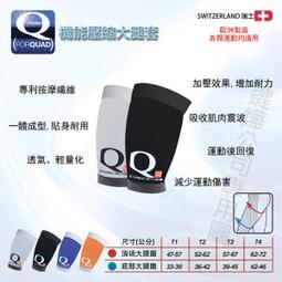 COMPRESSPORT 瑞士 運動機能壓縮 V2無袖跑衣 歷史價格詳細信息