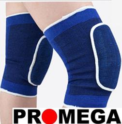 [福威國際企業]#9-3120-1 運動護具 特厚防撞護膝 專業排球護膝 歷史價格詳細信息