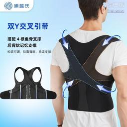 姿勢矯正-治療師操作指引30種常見的姿勢問題(Postural Correction) 歷史價格詳細信息