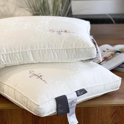 【好康】五星級酒店專用枕頭護頸椎助眠家用一對裝枕芯不塌陷高回彈整頭男 歷史價格詳細信息