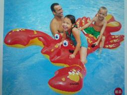 INTEX57524成人兒童海龜座騎 小孩水上充氣玩具遊泳泳具 浮床浮排 歷史價格詳細信息