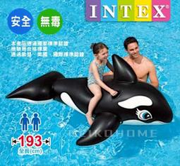 水鑑龜 傑尼龜 神奇寶貝  精靈寶可夢 歷史價格詳細信息