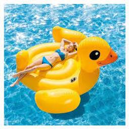 INTEX59256 原廠  彩色炫彩手把游泳圈91cm夏天玩水浮圈戲水游泳必備 衝評價 限量大特價 歷史價格詳細信息