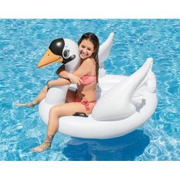 美國 INTEX 羊駝造型 游泳圈 夏季 成人 水上 充氣 兒童 浮排 動物 坐騎 造型泳圈 D42004 歷史價格詳細信息