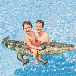 INTEX57556 新款大黃鴨坐騎小孩坐艇ins水上玩具充氣躺床戲水浮床 歷史價格詳細信息