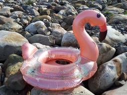 玩樂生活 加厚款 兒童可愛透明小天鵝充氣游泳圈 幼兒 浮圈 坐圈 夏天 玩水 游泳 戲水 溫泉可以用 歷史價格詳細信息