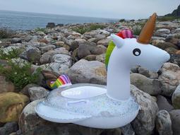 玩樂生活 加厚款 兒童可愛透明小天鵝充氣游泳圈 幼兒 浮圈 坐圈 夏天 玩水 游泳 戲水 溫泉可以用 歷史價格詳細信息