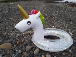 玩樂生活 加厚款 兒童可愛透明小天鵝充氣游泳圈 幼兒 浮圈 坐圈 夏天 玩水 游泳 戲水 溫泉可以用 歷史價格詳細信息