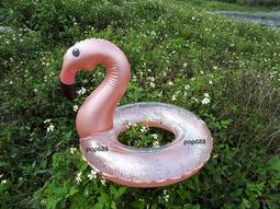 加厚款 兒童仿羊羔絨衛褲 男童女童保暖運動褲 中大童棉褲 冬款 歷史價格詳細信息