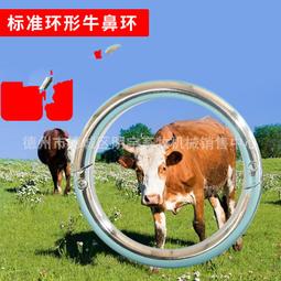 金屬彈簧定型鞋撐(一組) 歷史價格詳細信息