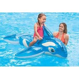 INTEX 小花海豚座騎175x66cm 適3歲+ (58535NP) 歷史價格詳細信息