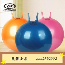 瑜伽球65cm瑜伽健身加厚防爆健身球孕婦專用助產跳跳球大龍球感訓 歷史價格詳細信息