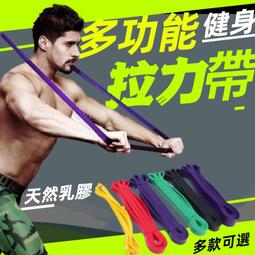 拉力繩多功能環狀彈力帶 彈力繩 TRX  拉力帶 阻力繩 阻力帶 瑜珈 健身 重訓 歷史價格詳細信息