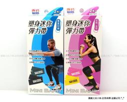 【成功SUCCESS】塑身迷你彈力帶(2入) 歷史價格詳細信息