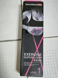 二手的Pink側肩包 /  PINK側背包 / 小資女包包 / PINK大包包 歷史價格詳細信息