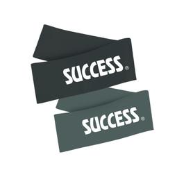 成功牌乳膠訓練拉力帶(進階用)(環狀抗力帶/阻力帶/彈力繩/彈力圈) 歷史價格詳細信息