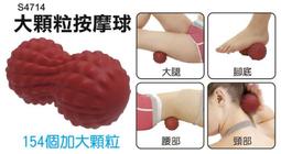 花生按摩球 12.5cmx20cm 紓壓按摩球 筋膜球 按摩球 足底按摩球 筋膜按摩球 瑜伽刺蝟球 放鬆球肌肉 放鬆筋膜 歷史價格詳細信息