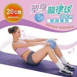 成功SUCCESS 塑身瑜珈磚 S4704 歷史價格詳細信息