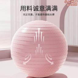 瑜伽滾背球氣球加厚防爆大龍球兒童感覺統合訓練孕婦專用助產按摩健身 歷史價格詳細信息