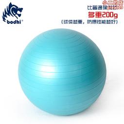 BODHI 環保TPE折疊瑜珈墊 加厚6mm SGS認證 雙色正反面 易辨識清潔 附收納袋 健身墊 摺疊瑜伽墊 歷史價格詳細信息