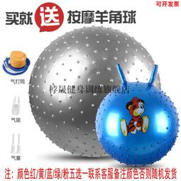 瑜伽球兒童大龍感覺統合訓練器材家用成人防爆健身寶寶按摩平衡獨 歷史價格詳細信息