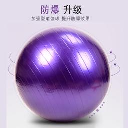 新瑜伽球普拉提球健身球pvc加厚孕婦助產大龍球兒童感覺統合訓練平衡 歷史價格詳細信息