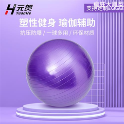 pvc按摩款波速球瑜伽瑜伽球平衡半球普拉提健身半球bs波速球 歷史價格詳細信息