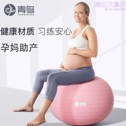 瑜伽球兒童感覺統合訓練加厚防爆嬰兒寶寶觸覺大龍球按摩球平衡早 歷史價格詳細信息