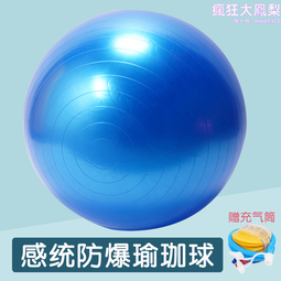 感覺統合訓練教具瑜伽球兒童大龍球器材家用防爆健身球寶寶按摩平 歷史價格詳細信息