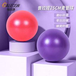 普拉提小球孕婦產後恢復加厚防爆運動健身翹臀女23cm迷你瑜伽球小 歷史價格詳細信息