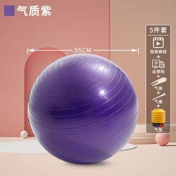 按摩瑜伽球健身球加厚成人防爆兒童孕婦分娩平衡跳跳球感覺統合訓練 歷史價格詳細信息