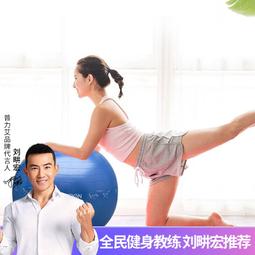 教學瑜伽球 健身球加厚防滑防爆初學者男女普拉提平衡球65cm 歷史價格詳細信息