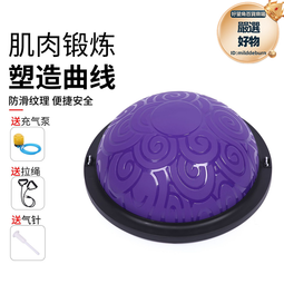 瑜伽普拉提十二件套裝瑜伽球乳膠2080阻力帶乳膠彈力圈滑行盤盒裝 歷史價格詳細信息