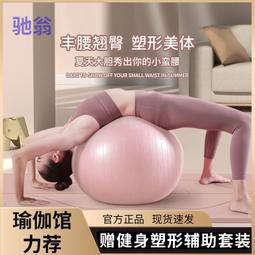 按摩瑜伽球健身球加厚成人防爆兒童孕婦分娩平衡跳跳球感覺統合訓練 歷史價格詳細信息