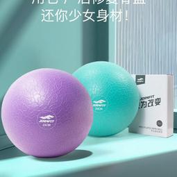 球瑜伽小球健身球瑜珈球孕婦訓練球兒童瑜伽球20cm普拉提 歷史價格詳細信息
