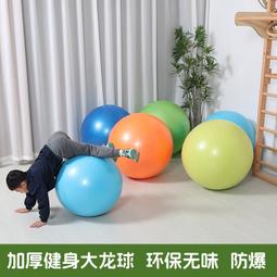 瑜伽球加厚防爆健身練腰孕婦專用助產兒童感覺統合訓練大龍球 歷史價格詳細信息