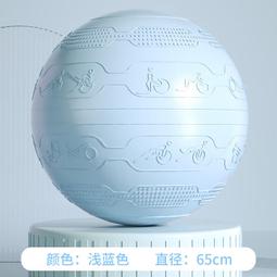 瑜伽球65cm瑜伽健身加厚防爆健身球孕婦專用助產跳跳球大龍球感訓 歷史價格詳細信息