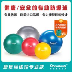 兒童健身球瑜伽球羊角球加厚防爆寶寶運動跳跳球手柄球【優品誠信商家】✨ 歷史價格詳細信息