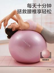 瑜伽球健身球加厚防爆兒童感統訓練健身平衡球平衡筋膜球瑜伽器材 歷史價格詳細信息