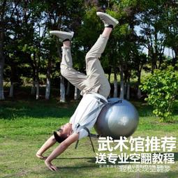 瑜伽球健身球兒童前庭感覺統合訓練器材大籠球孕婦專用助產分娩觸覺球 歷史價格詳細信息